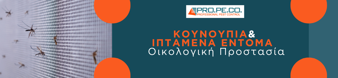 Κουνούπια σε σίτα