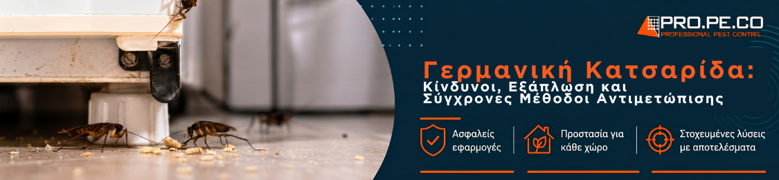 Κατσαρίδες σε κρυφά σημεία